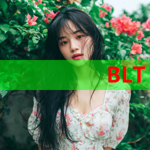 矛盾公开！莫兰特加盟火箭如何？