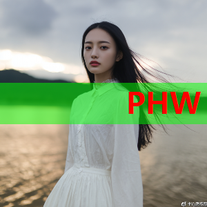 再拿金球奖还是世界杯？梅西：世界杯！