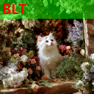 展现恐怖火力！火箭本场128分&命中率55/66% 三连胜场均轰134.7分