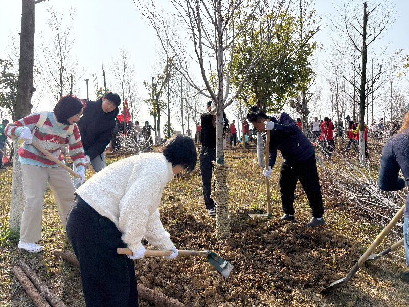 種下一片綠，收獲好心情：多靈磨盤洲的植樹活動