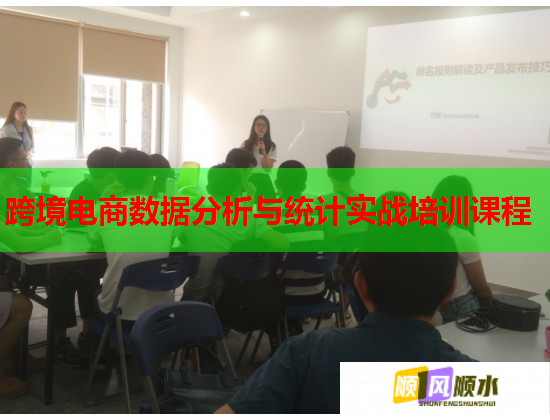 跨境電商數(shù)據(jù)分析與統(tǒng)計(jì)實(shí)戰(zhàn)培訓(xùn)課程 跨境電商數(shù)據(jù)分析與統(tǒng)計(jì)實(shí)戰(zhàn)培訓(xùn)課程